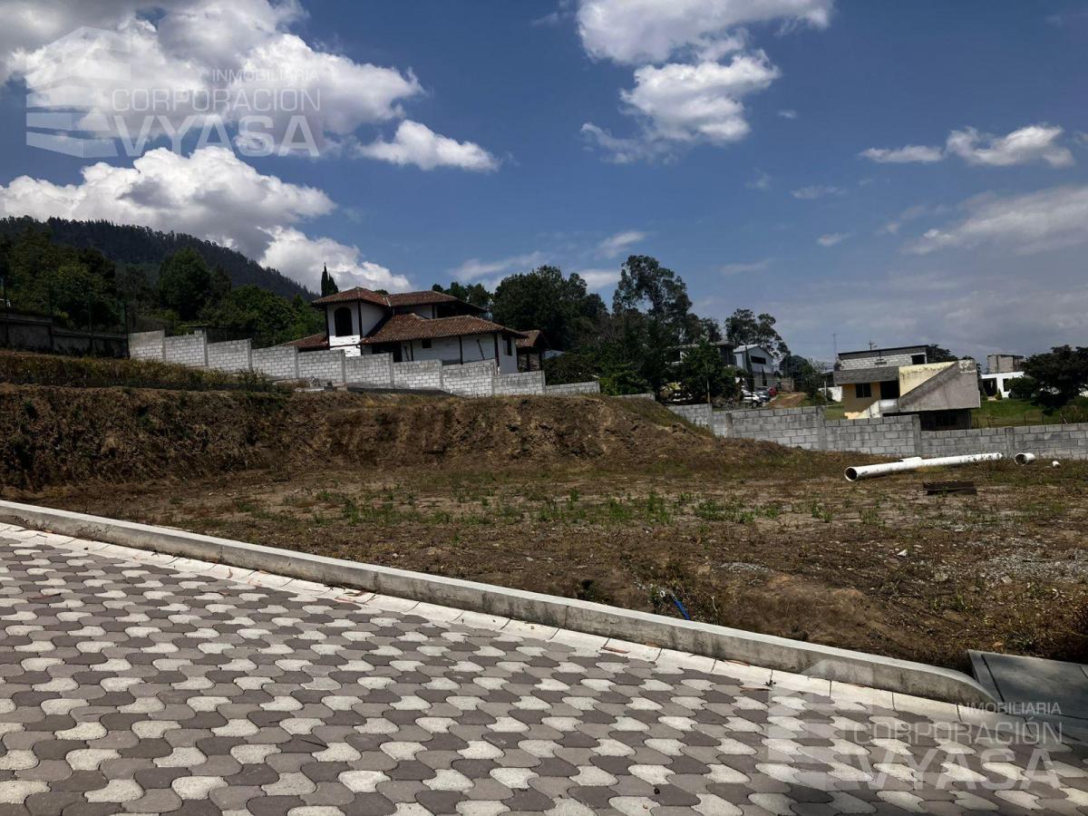 Cumbayá - San Juan, Hermosos Terrenos de Venta 465 m² — imagen 5