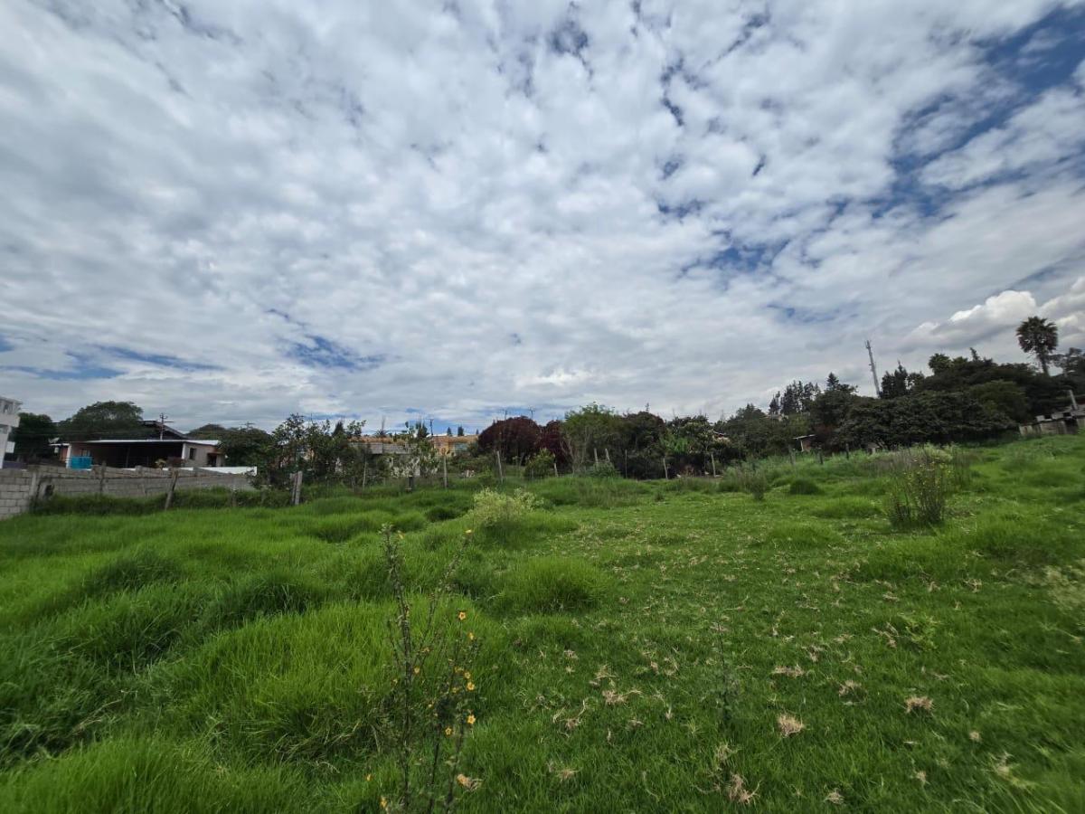 Terreno de Venta en Cumbayá — imagen 9