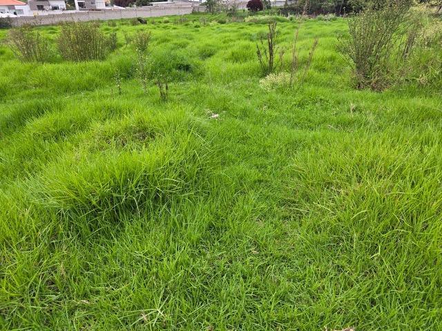 Terreno de Venta en Cumbayá — imagen 8