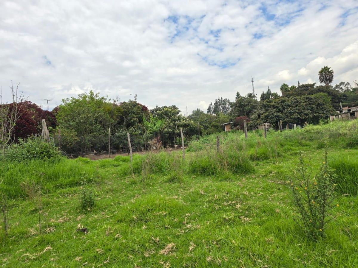 Terreno de Venta en Cumbayá — imagen 7