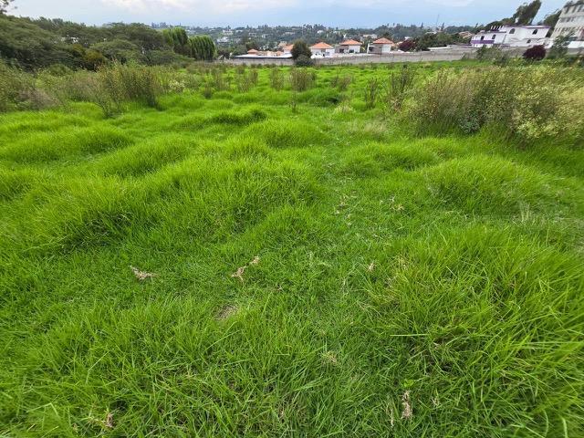 Terreno de Venta en Cumbayá — imagen 6