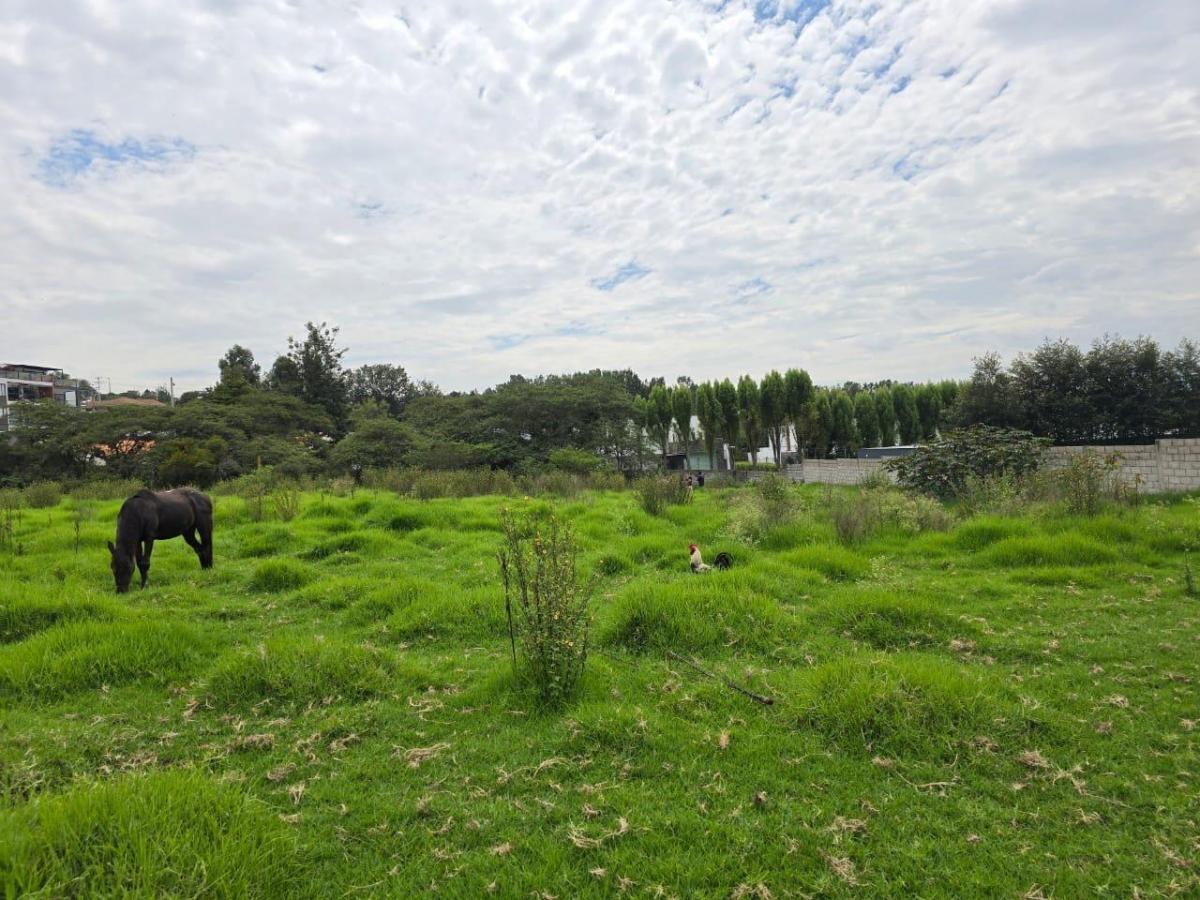 Terreno de Venta en Cumbayá — imagen 2