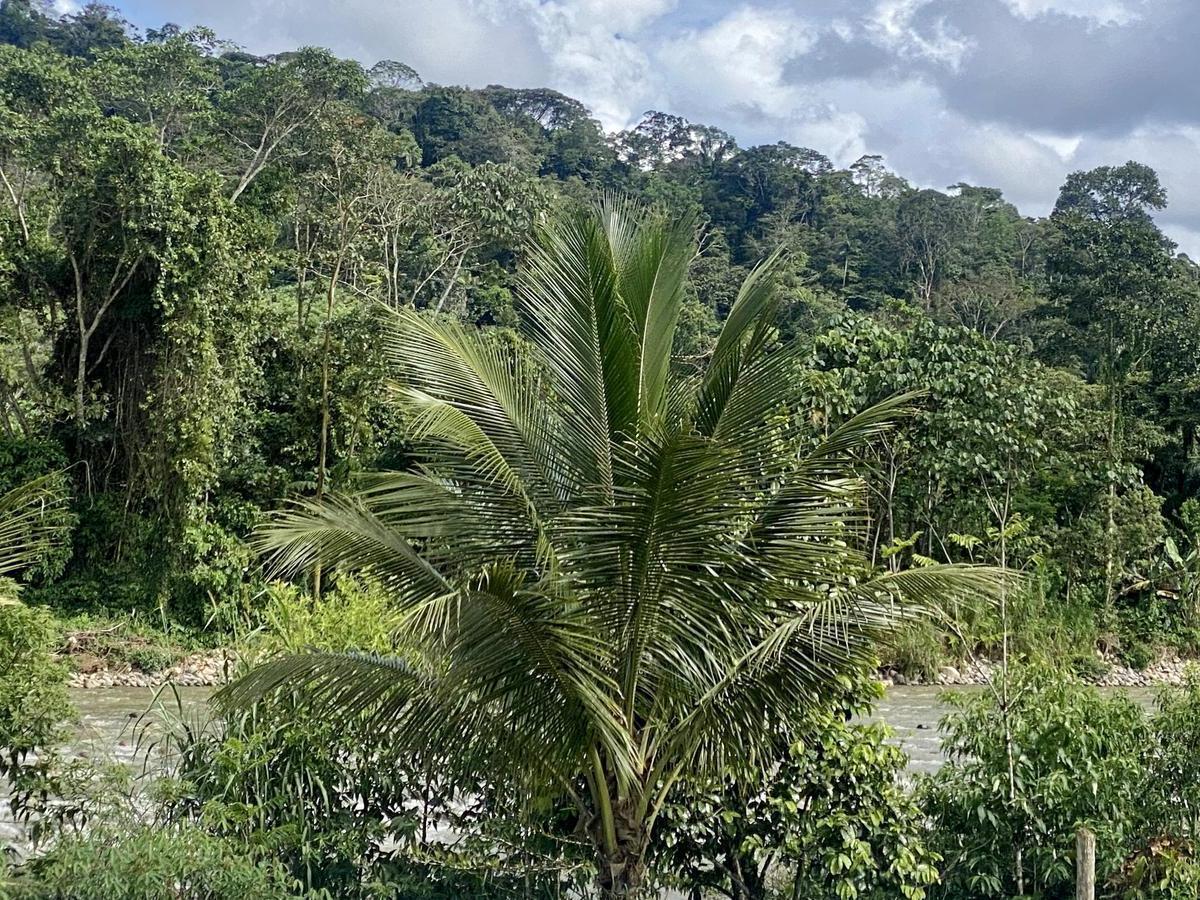 Vendo Terrenos en El Puyo Al Pie del Río Piatúa, Pastaza — imagen 5