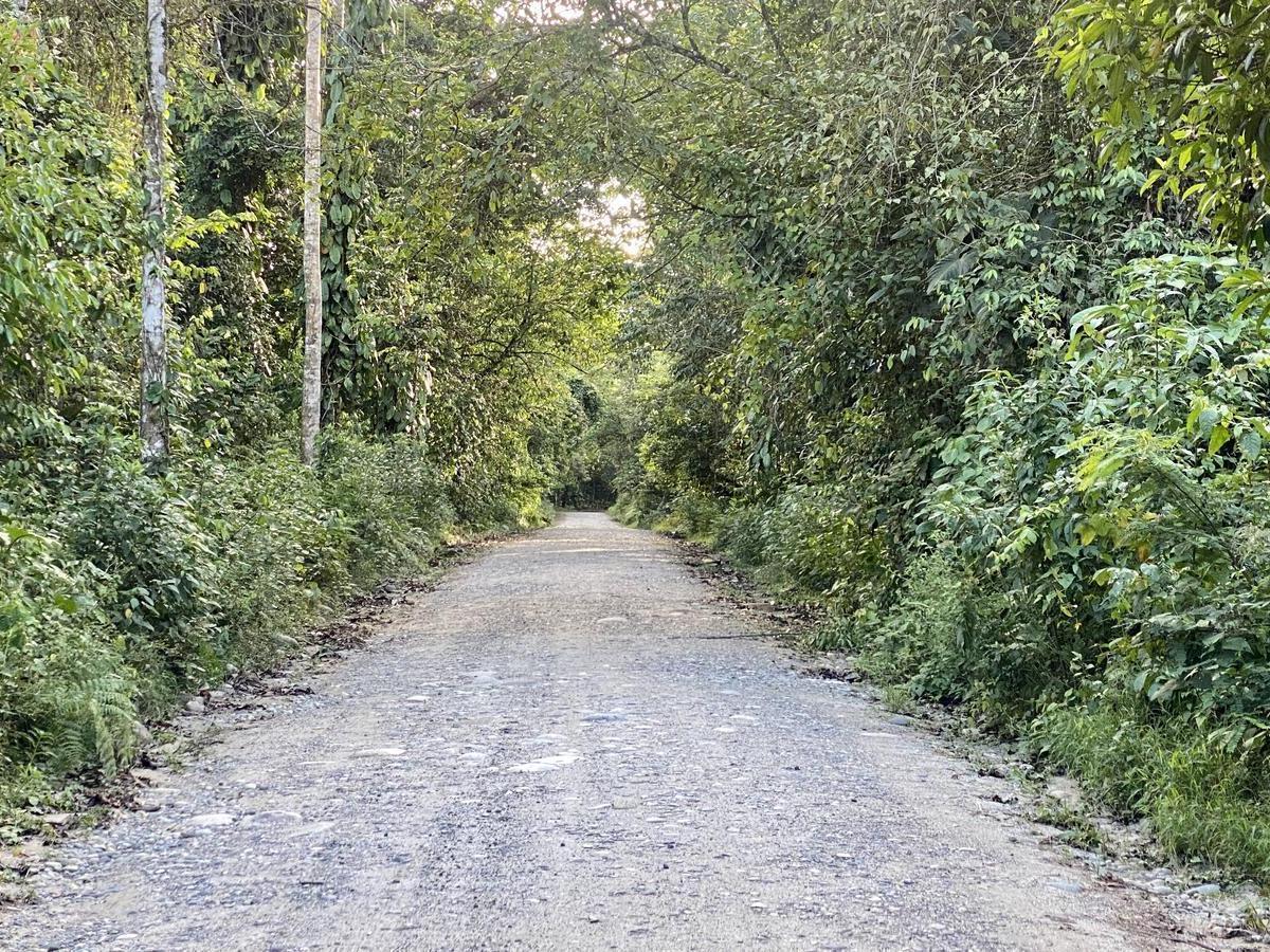 Vendo Terrenos en El Puyo Al Pie del Río Piatúa, Pastaza — imagen 4