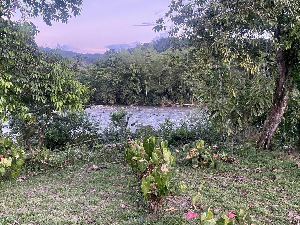 Vendo Terrenos en El Puyo Al Pie del Río Piatúa, Pastaza — imagen 2