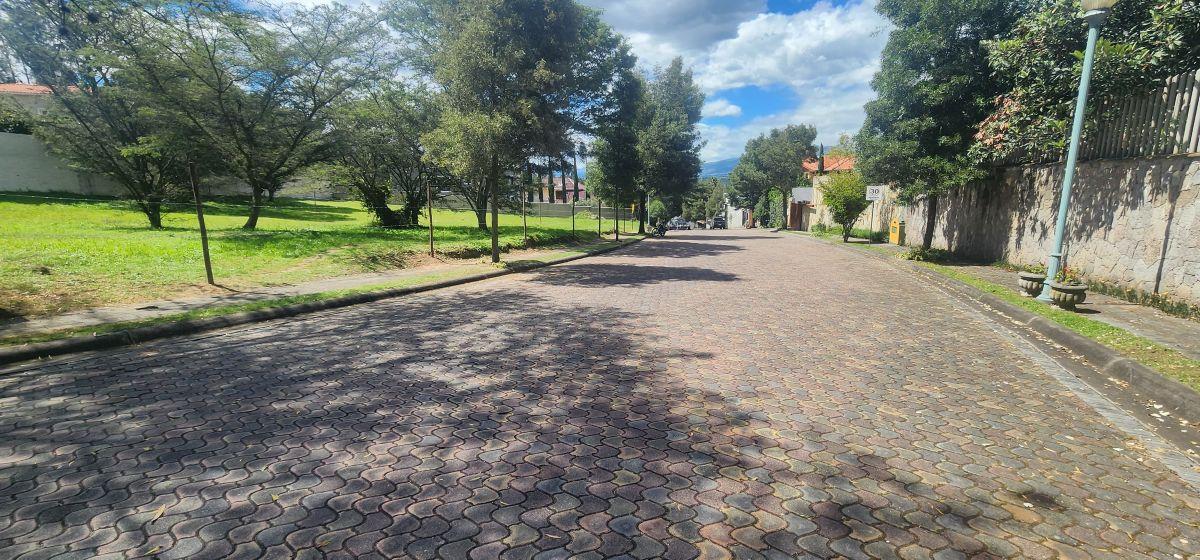 Lote Esquinero en Venta — imagen 8