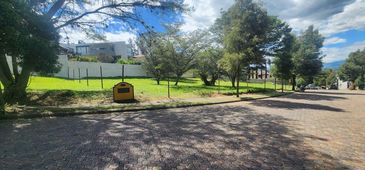 Lote Esquinero en Venta — imagen 7