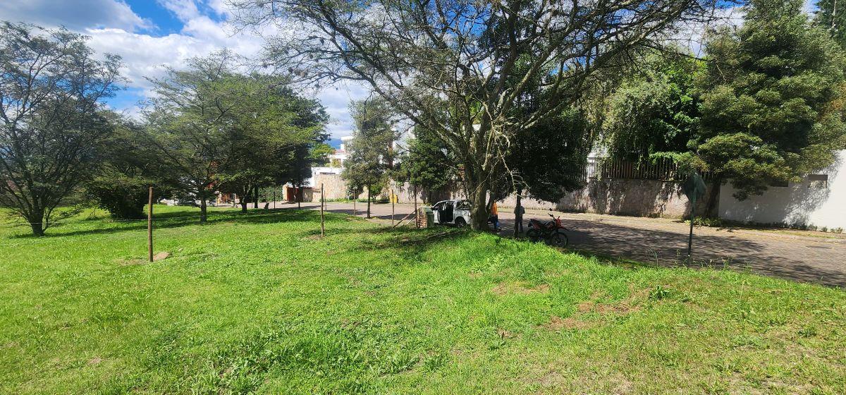 Lote Esquinero en Venta — imagen 6