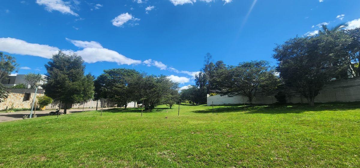 Lote Esquinero en Venta — imagen 2