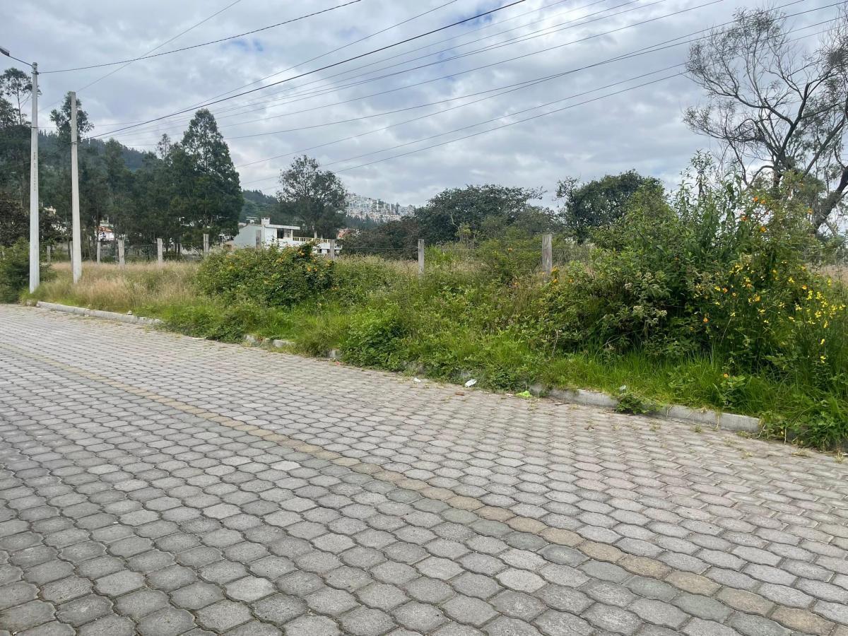 Venta Terreno de 3.999 m² en Nayón — imagen 5