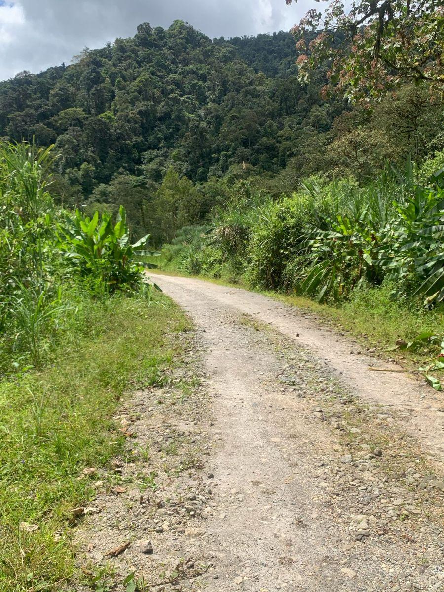 Terreno Venta Mindo — imagen 4