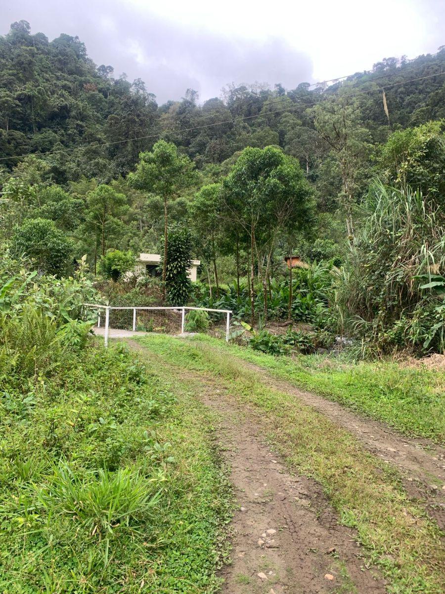 Terreno Venta Mindo — imagen 3
