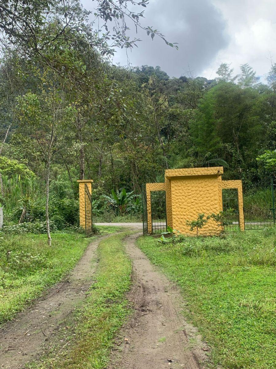 Terreno Venta Mindo — imagen 2