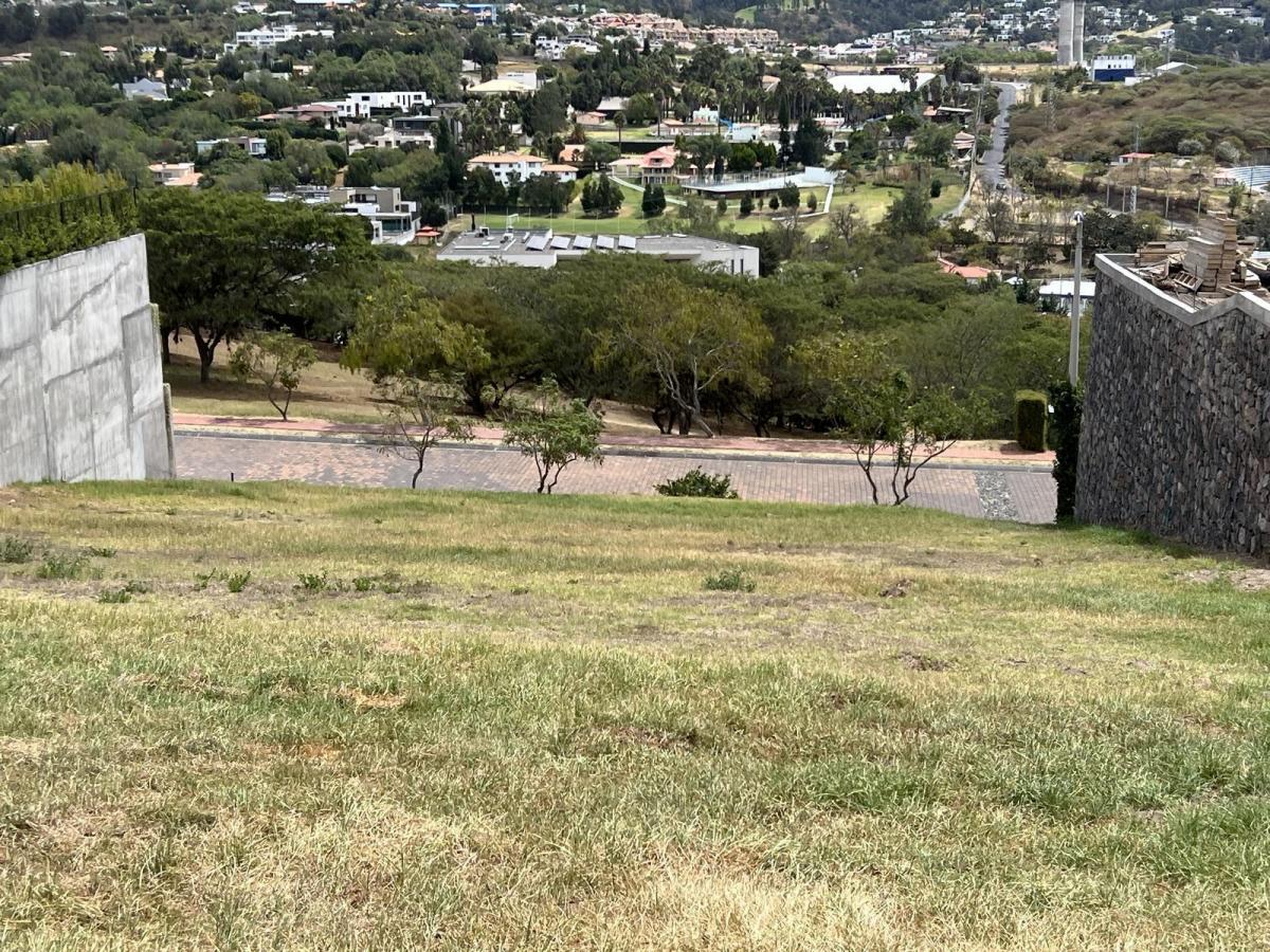 Venta Terreno en Cumbaya en Urbanización Exclusiva — imagen 9