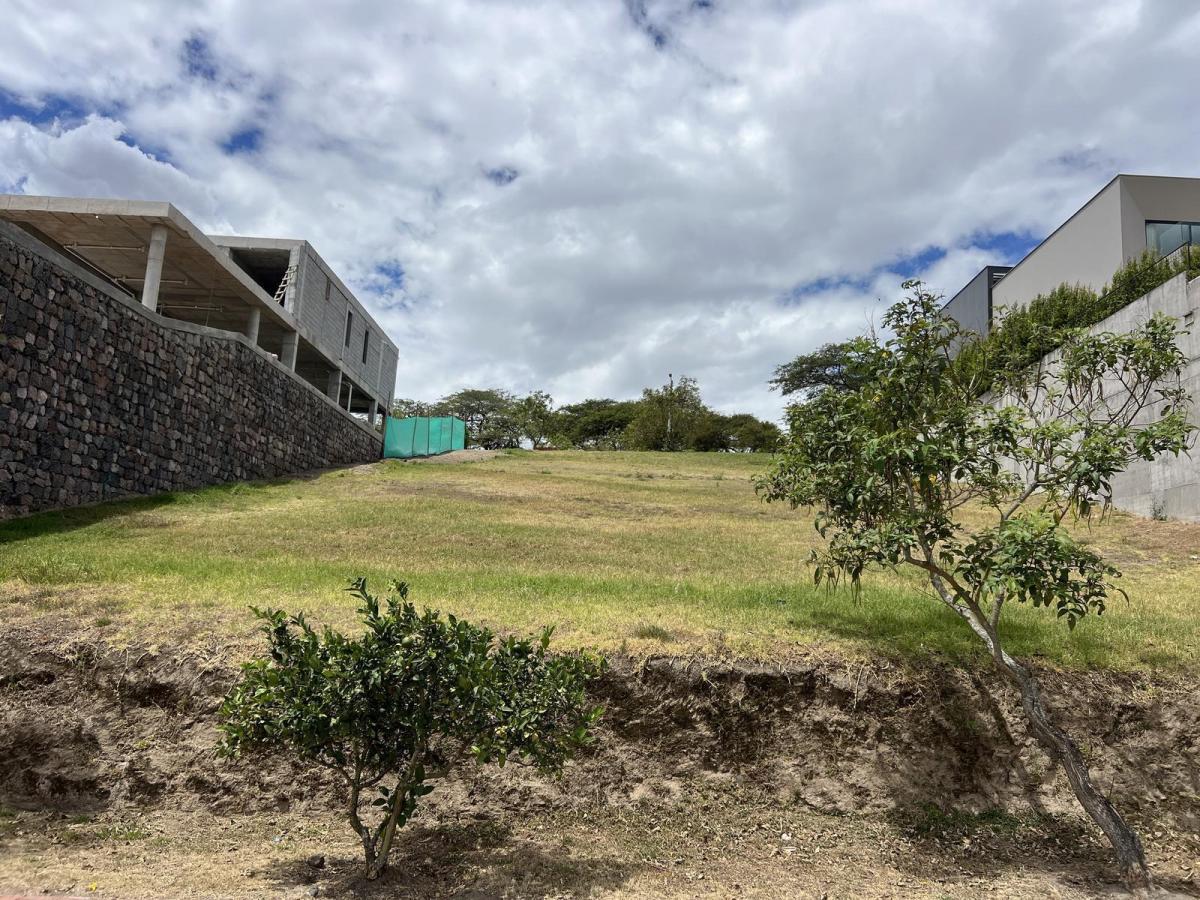 Venta Terreno en Cumbaya en Urbanización Exclusiva — imagen 8