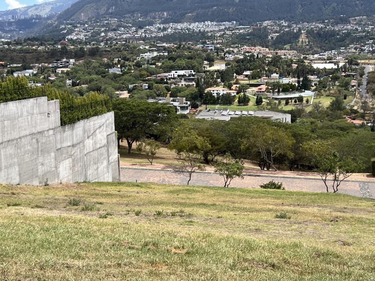 Venta Terreno en Cumbaya en Urbanización Exclusiva — imagen 7