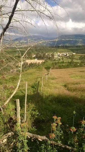 Vendo Terreno de 26000 m² en La Tolita a 1 Km de La Ruta Viva, Gran Vista — imagen 10