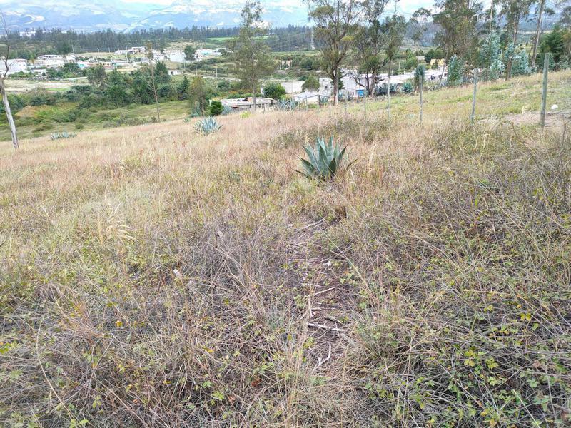Vendo Terreno de 26000 m² en La Tolita a 1 Km de La Ruta Viva, Gran Vista — imagen 9