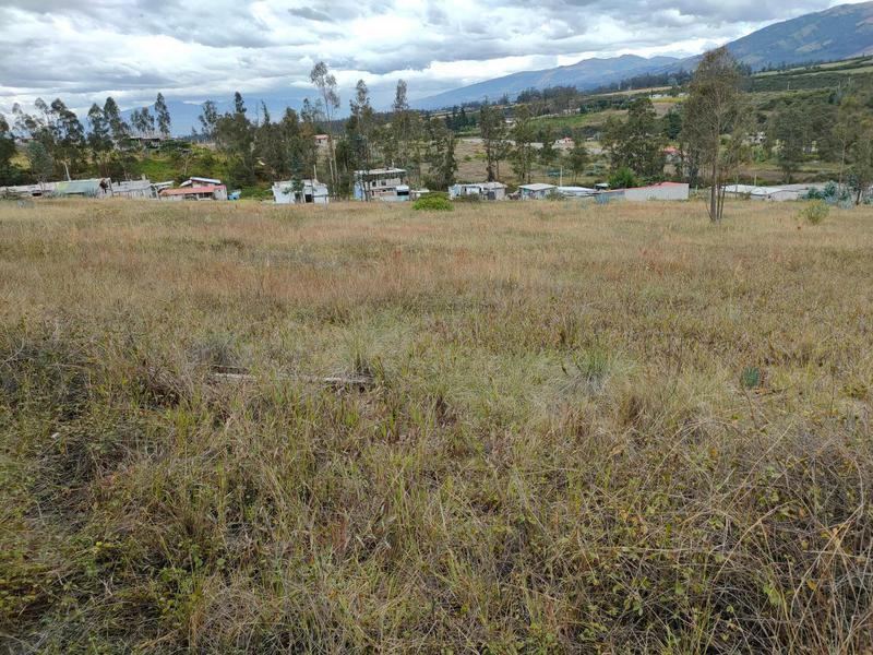 Vendo Terreno de 26000 m² en La Tolita a 1 Km de La Ruta Viva, Gran Vista — imagen 8