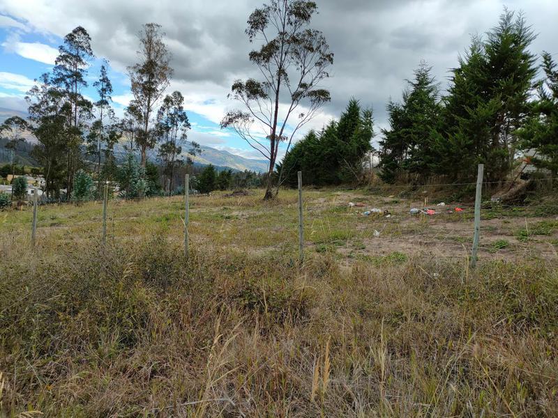 Vendo Terreno de 26000 m² en La Tolita a 1 Km de La Ruta Viva, Gran Vista — imagen 6