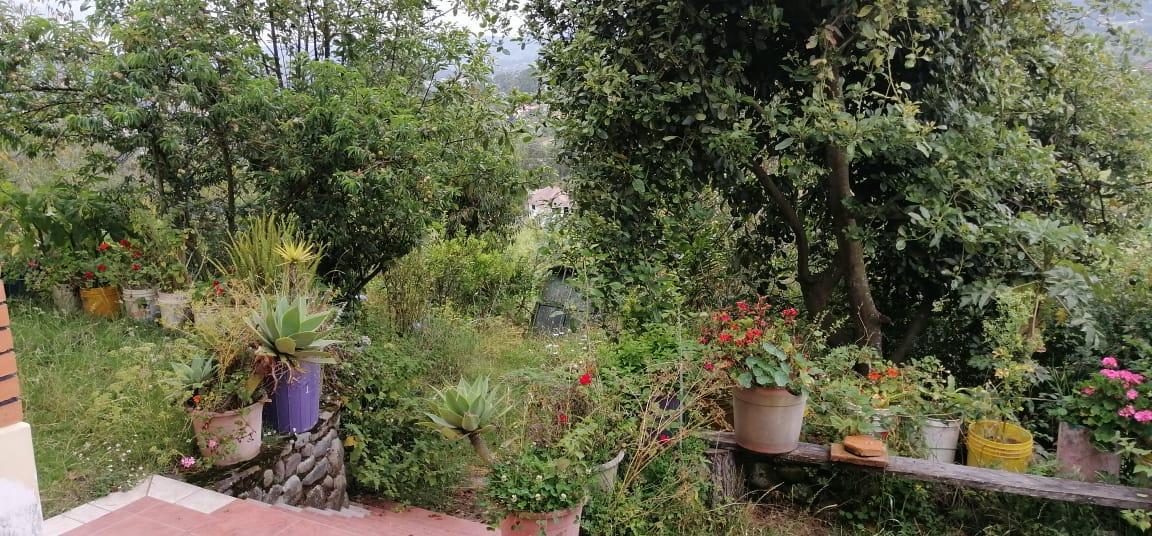 Vendo Terreno 13.000 m² con Casa en San Miguel del Valle, Azuay — imagen 8