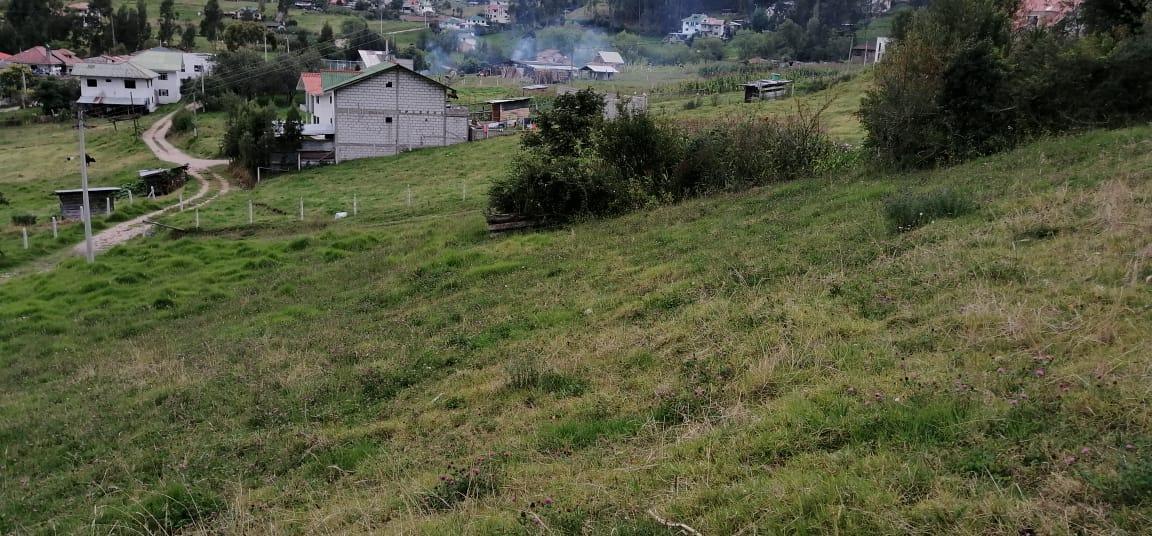 Vendo Terreno 13.000 m² con Casa en San Miguel del Valle, Azuay — imagen 7
