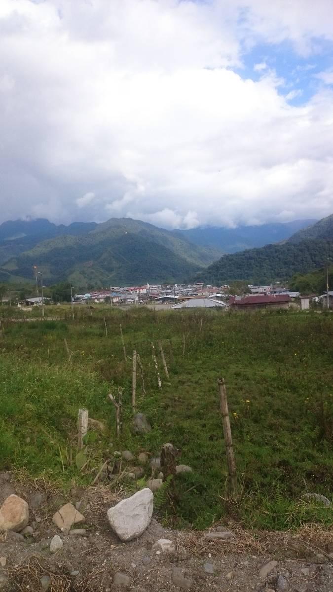 Terreno de 384 m² - Borja, Napo — imagen 9