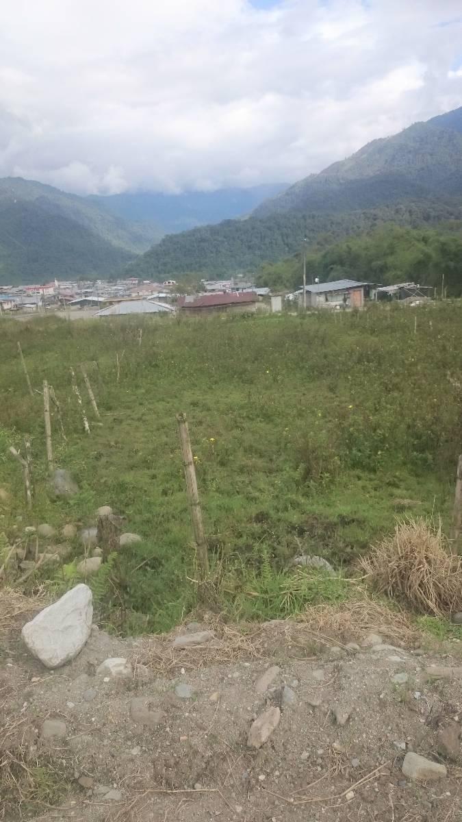 Terreno de 384 m² - Borja, Napo — imagen 8