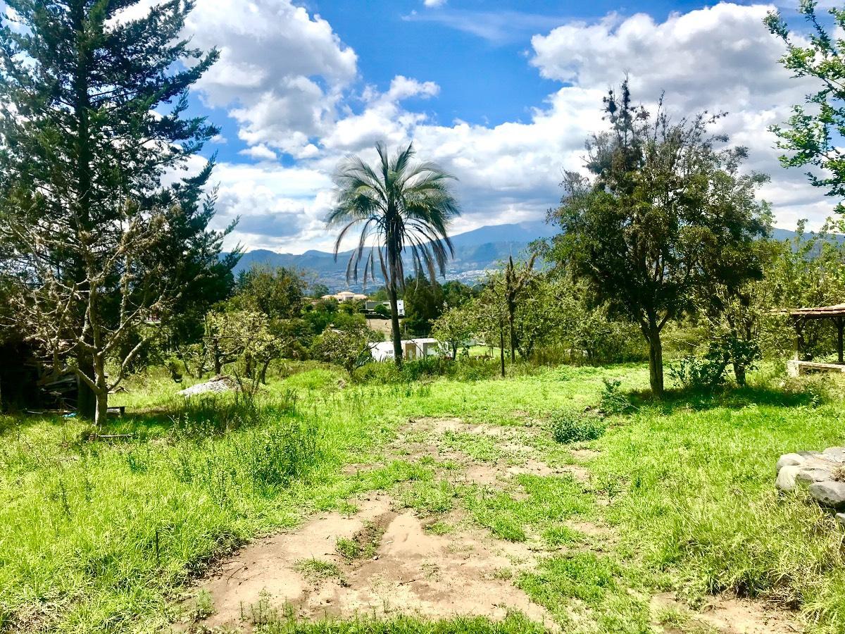 Hermoso Terreno de Venta Vía Arrayanes 10.000 m² — imagen 8
