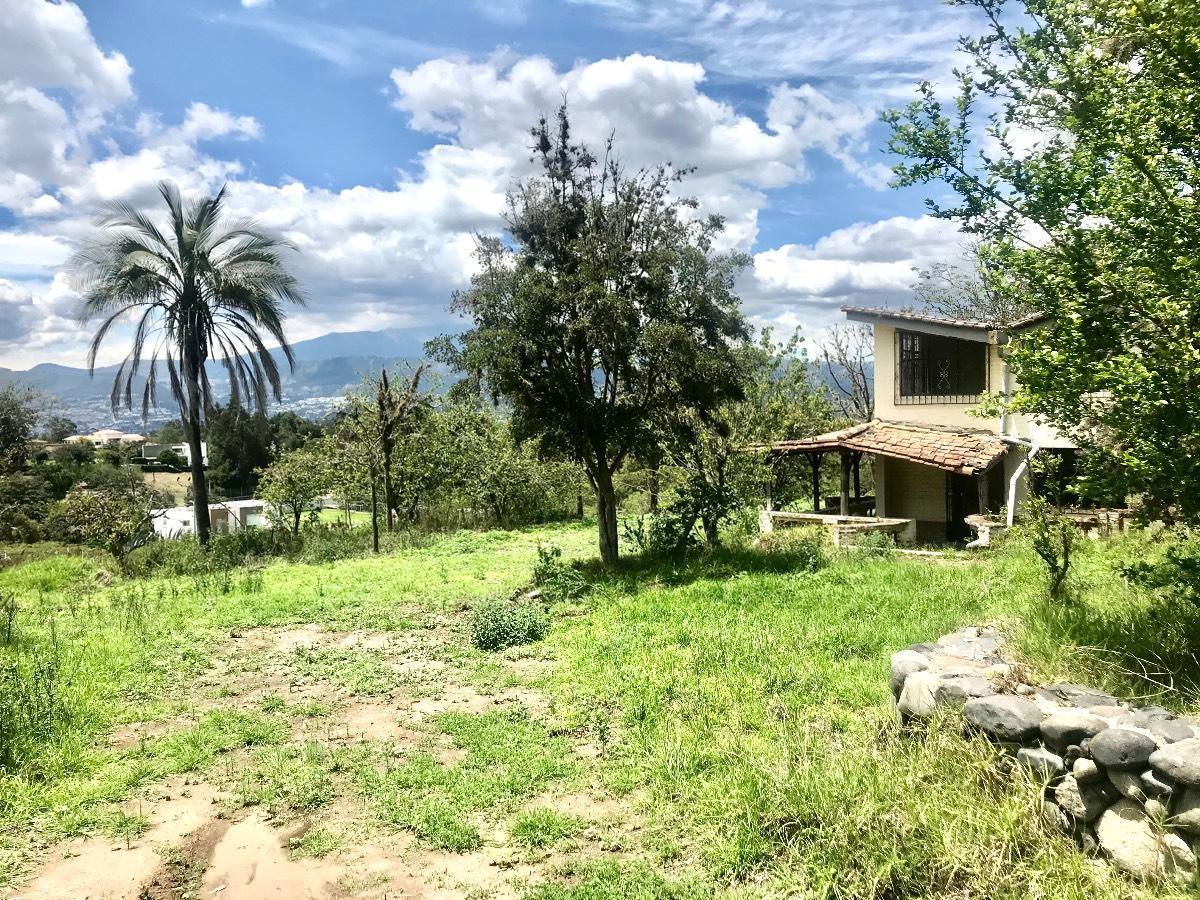 Hermoso Terreno de Venta Vía Arrayanes 10.000 m² — imagen 7