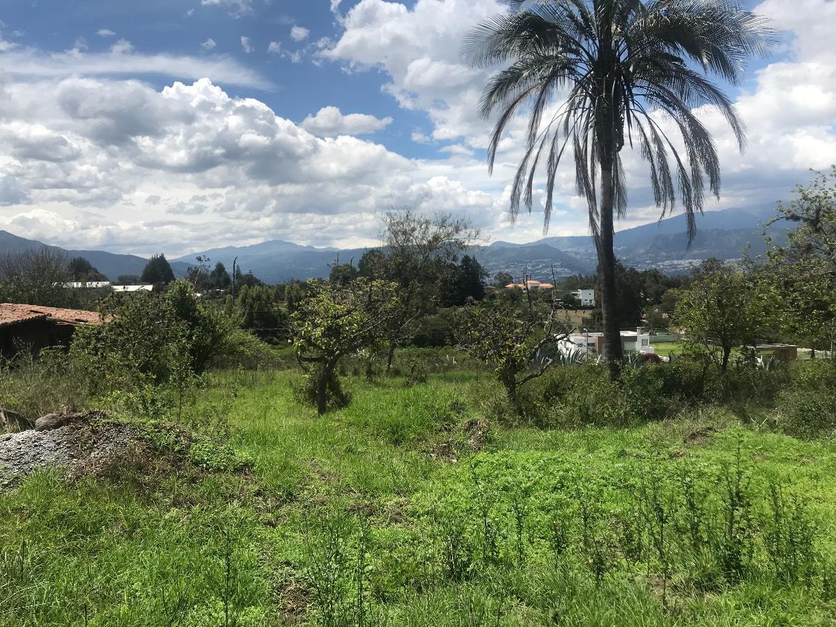 Hermoso Terreno de Venta Vía Arrayanes 10.000 m² — imagen 6