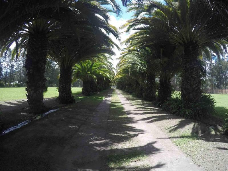 Espectacular Terreno de Venta en Urbanización Exclusiva en Puembo — imagen 7