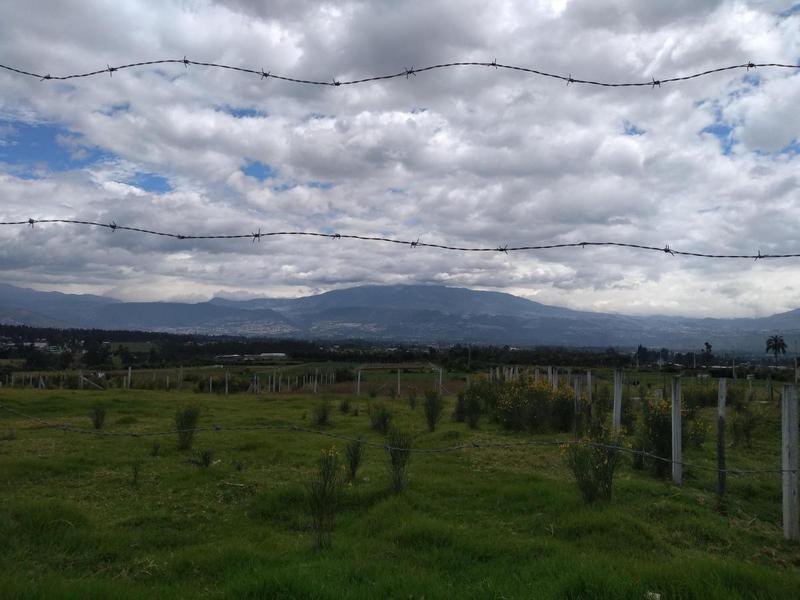 Vendo Terreno de 33770 m en Yaruqui — imagen 2
