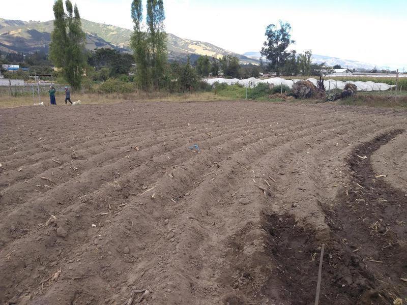 Vendo Terreno de 26550 m en Tababela — imagen 10