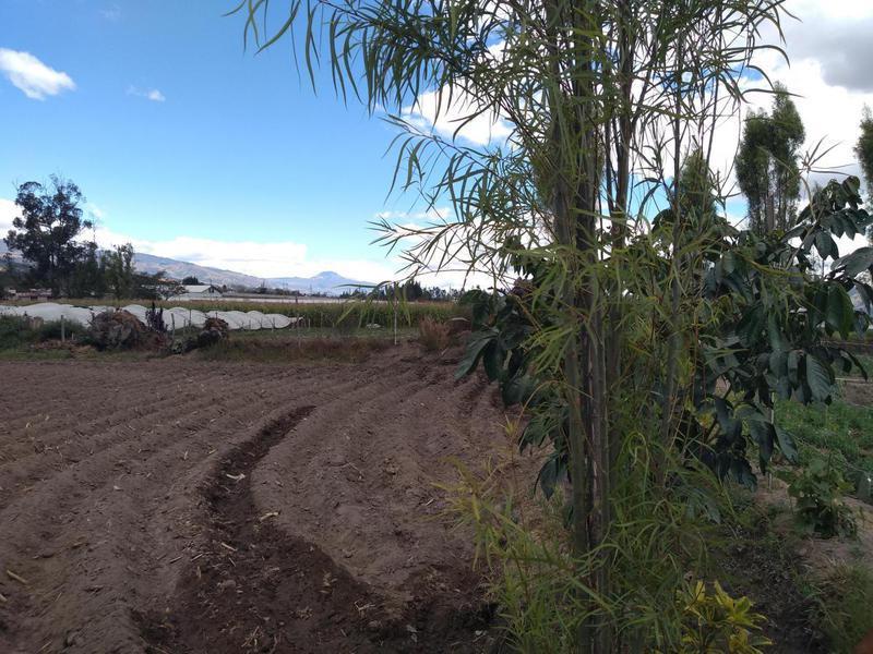 Vendo Terreno de 26550 m en Tababela — imagen 9