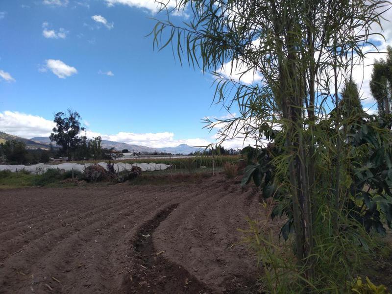 Vendo Terreno de 26550 m en Tababela — imagen 8