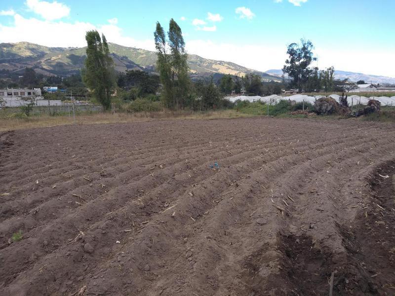 Vendo Terreno de 26550 m en Tababela — imagen 7