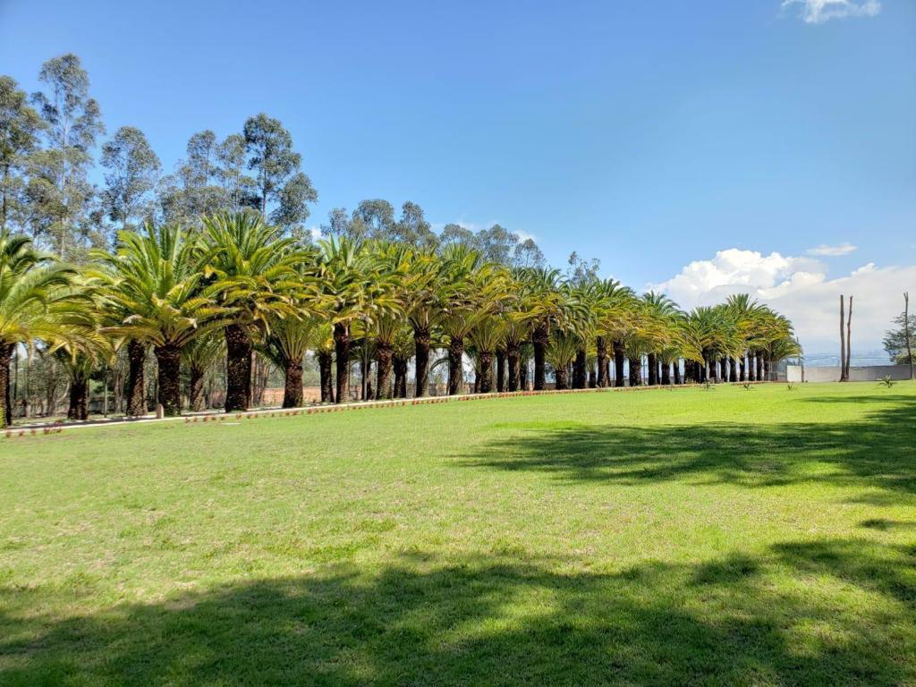 Venta Puembo Hermoso Terreno Urbanización Lujo Naturaleza — imagen 9