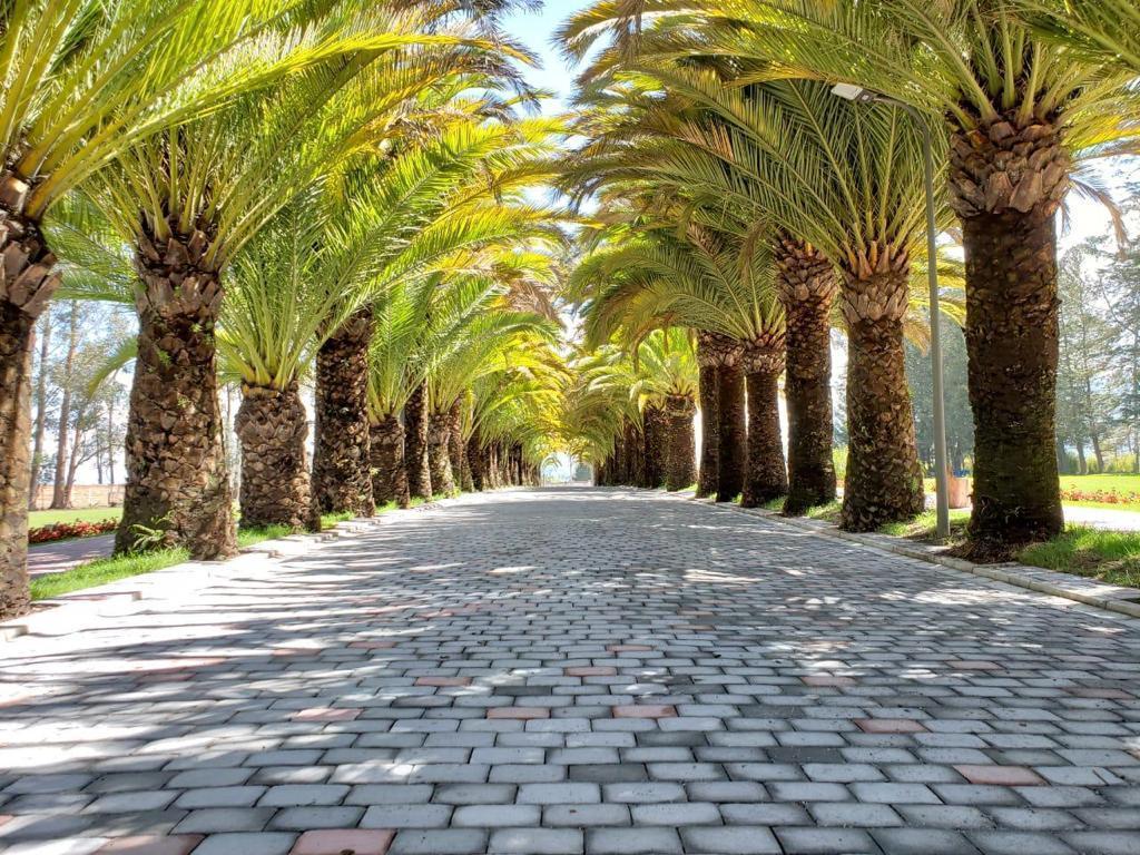 Venta Puembo Hermoso Terreno Urbanización Lujo Naturaleza — imagen 8