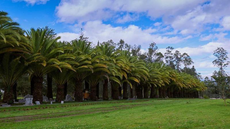 Venta Puembo Hermoso Terreno Urbanización Lujo Naturaleza — imagen 7