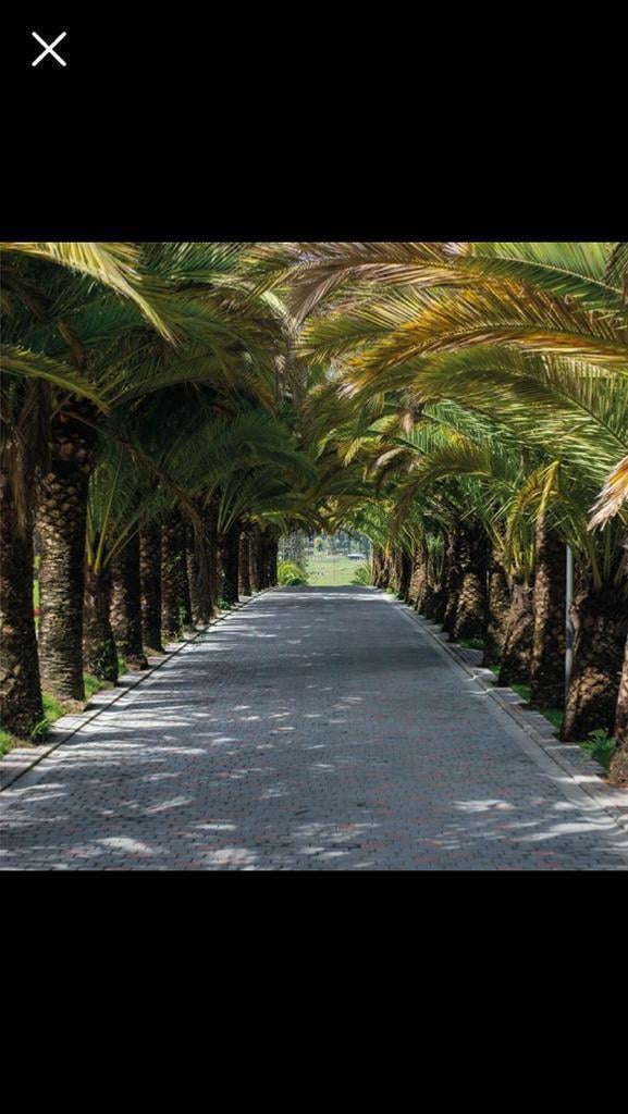 Venta Puembo Hermoso Terreno Urbanización Lujo Naturaleza — imagen 6