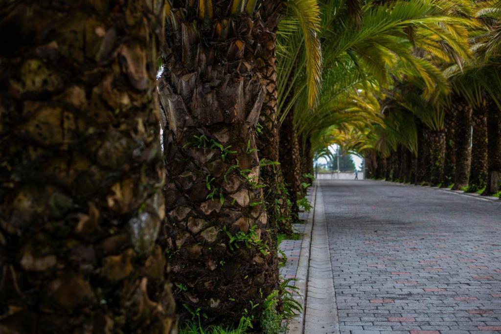 Venta Puembo Hermoso Terreno Urbanización Lujo Naturaleza — imagen 2