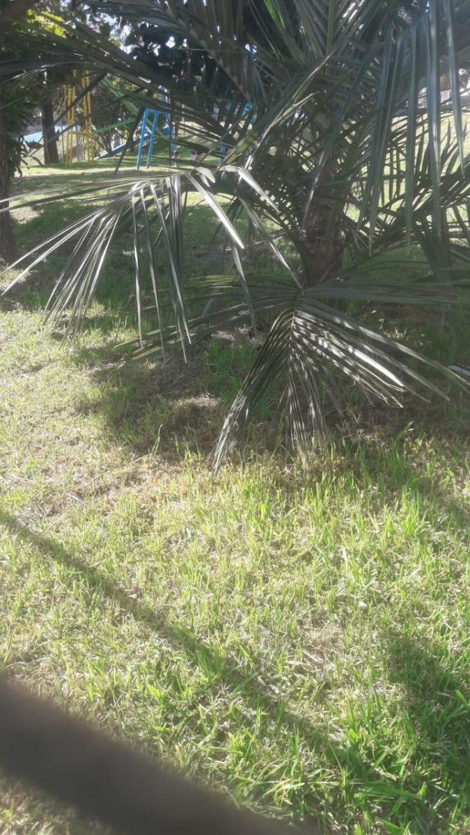 Departamento de Venta en Cotocollao Sector 23 de Julio — imagen 6
