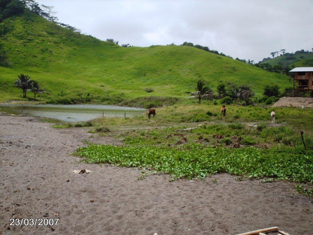 Venta 150 Has en Playa Esmeraldas Muisne — imagen 10