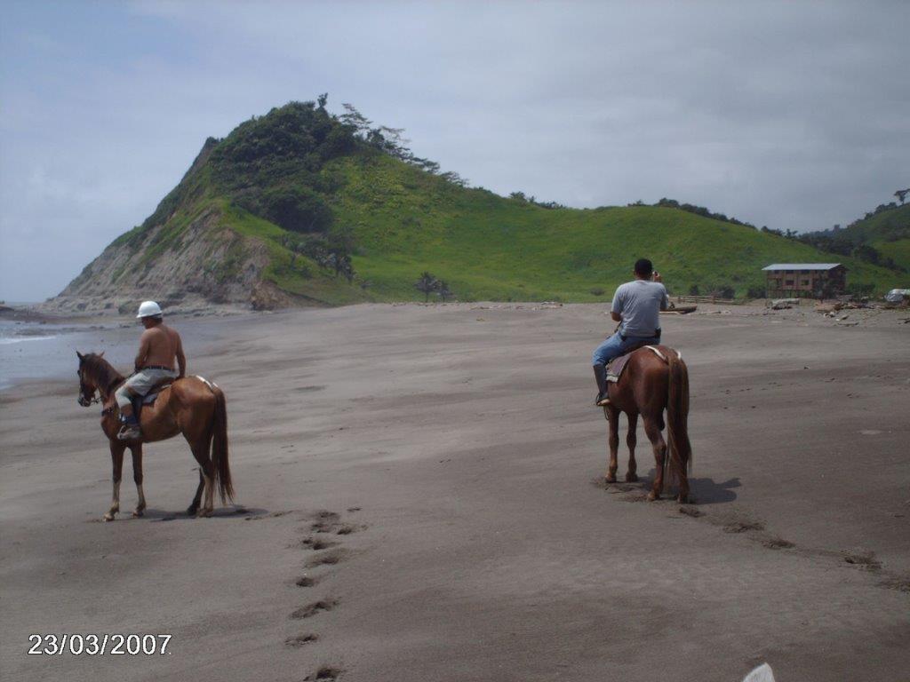 Venta 150 Has en Playa Esmeraldas Muisne — imagen 9