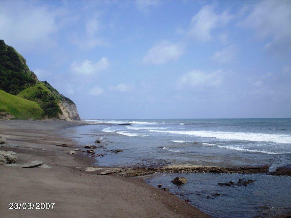 Venta 150 Has en Playa Esmeraldas Muisne — imagen 8