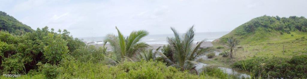Venta 150 Has en Playa Esmeraldas Muisne — imagen 7