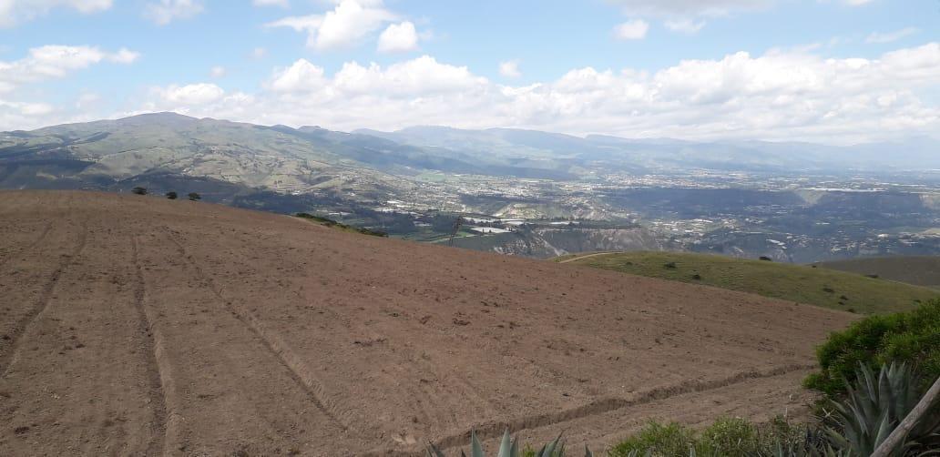 Re/max Futuro Vende Finca de 61 Has Proyecto Lotizacion/agro en Cochasqui — imagen 2
