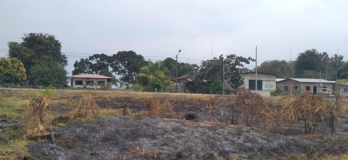 Vendo Propiedad Comercial, Ideal Para Piladora de Arroz, en Palestina. Guayas — imagen 3