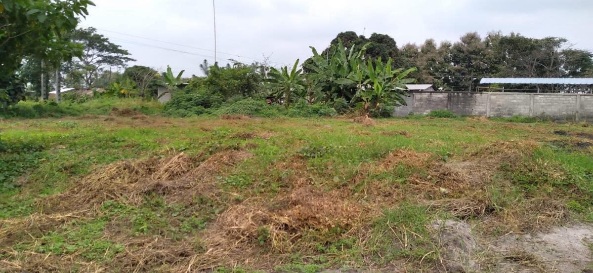 Vendo Propiedad Comercial, Ideal Para Piladora de Arroz, en Palestina. Guayas — imagen 2